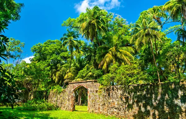 stock image Old ruins of notorious penal colony in Saint Joseph Island, Salvation Islands, French Guiana, South America