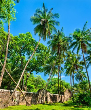 Old ruins of notorious penal colony in Saint Joseph Island, Salvation Islands, French Guiana, South America clipart