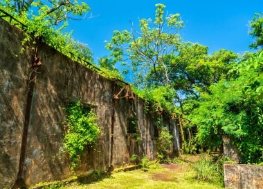 Saint Joseph Adası, Kurtuluş Adaları, Fransız Guyanası, Güney Amerika 'daki ünlü ceza kolonisinin kalıntıları.