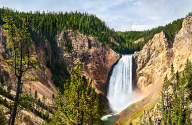 Yellowstone Ulusal Parkı 'ndaki Lower Falls of the Yellowstone River' da. UNESCO 'nun Wyoming, ABD' deki dünya mirası