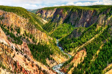 Yellowstone Ulusal Parkı 'nın Büyük Kanyonu. UNESCO 'nun Wyoming, ABD' deki dünya mirası