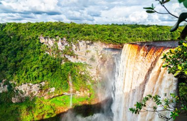 Güney Amerika, Guyana Amazon yağmur ormanlarındaki Kaieteur Şelaleleri. Dünyanın en yüksek ve en güçlü şelalelerinden biri.