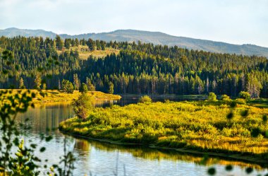 Wyoming, ABD 'deki Grand Teton Ulusal Parkı' nda Yılan Nehri 'nin Oxbow Bend' i.