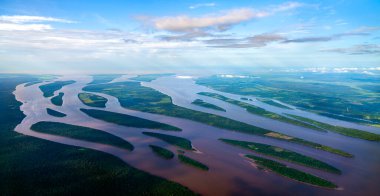 Essequibo Nehri 'nin heybetli deltası Atlantik Okyanusuna akıyor - Guyana, Güney Amerika