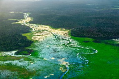 Demerara Nehri 'nin Manzaralı Üçlemesi Güney Amerika, Guyana' daki Amazon Yağmur Ormanları 'ndan geçiyor.