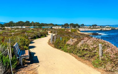 Scenic Path and Bench Overlooking the Pacific Ocean Near the University of California, Santa Cruz, United States clipart