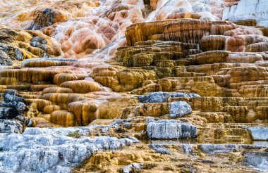 Yellowstone Ulusal Parkı 'ndaki Mammoth Kaplıcalarında Travertine Terasları. UNESCO 'nun Wyoming, ABD' deki dünya mirası