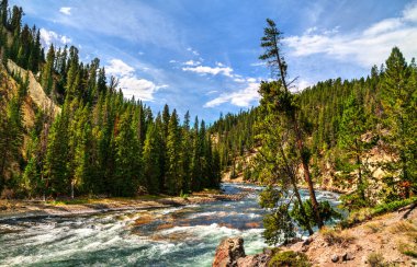 Yellowstone Ulusal Parkı 'ndaki Yellowstone Nehri Yukarı ve Aşağı Şelaleler arasında akıyor. UNESCO 'nun Wyoming, ABD' deki dünya mirası