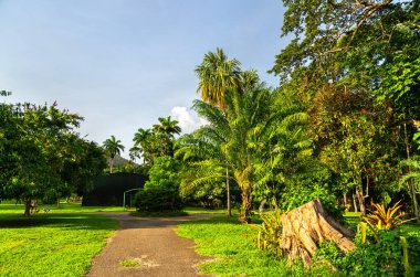 İspanya Limanı, Trinidad ve Tobago 'daki Kraliyet Botanik Bahçeleri: Tropik Flora' nın Berrak Oasisi