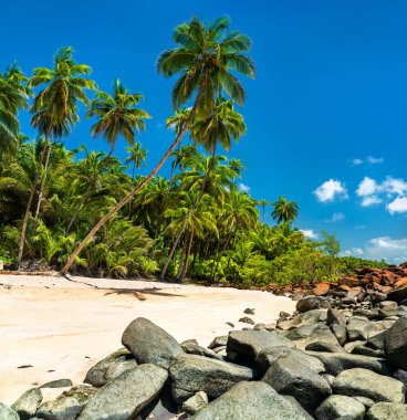 Tropical Beach on Saint Joseph Island, Part of the Salvation Islands in French Guiana, South America clipart