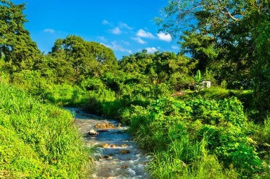 Quebrada Sesesmil, Copan Ruinas, Honduras 'ta Serene Küçük Nehri.