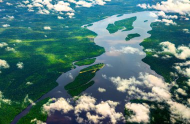 The Essequibo river in the Amazon rainforest of Guyana, South America clipart