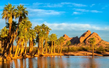 Papago Park, Phoenix, Arizona, ABD 'deki Çöl ve Dağlarla çevrili bir vahada palmiye ağaçları ve su yansıması