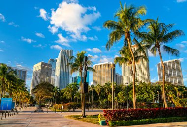 Miami şehir merkezinin gökdelenleri Bayfront Park, Florida, ABD 'den görüldü.