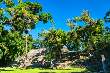 Maya Arkeolojik Bölgesi, Batı Akropolis Mahkemesi 'ndeki 11. Tapınak. Honduras 'taki UNESCO dünya mirası