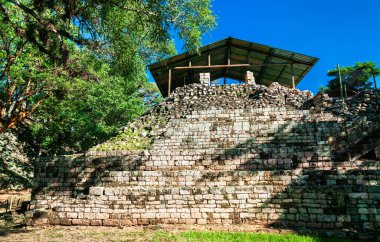 Maya Arkeolojik Alanı 'ndaki Akropolis' in antik kalıntıları. Honduras 'taki UNESCO dünya mirası