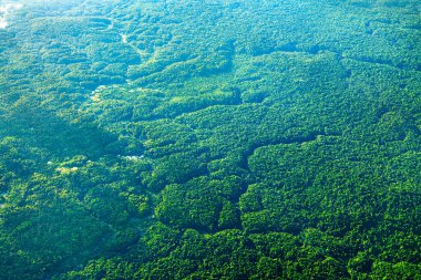 Güney Amerika, Guyana 'daki Kaieteur Şelalesi yakınlarındaki Amazon yağmur ormanlarının hava manzarası.