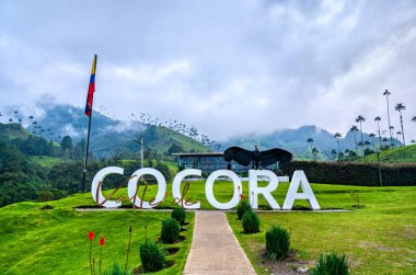 Salento, Kolombiya - 27 Aralık 2024: Cocora Vadisi 'nde bir And akbabası ve Kolombiya bayrağı olan Cocora tabelası. Quindio, Kolombiya 'da önemli bir turizm merkezi.