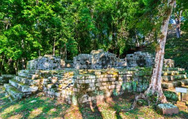 Copan 'daki Maya Arkeoloji Bölgesi Mezarlık Grubu. Honduras 'taki UNESCO dünya mirası