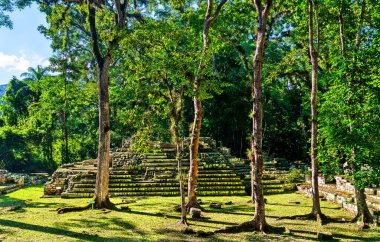 Copan 'daki Maya Arkeoloji Bölgesi Mezarlık Grubu. Honduras 'taki UNESCO dünya mirası