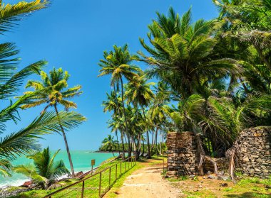 Royale Adası 'ndaki eski kalıntılar, Fransız Guyanası, Güney Amerika' daki Kurtuluş Adalarından biri.