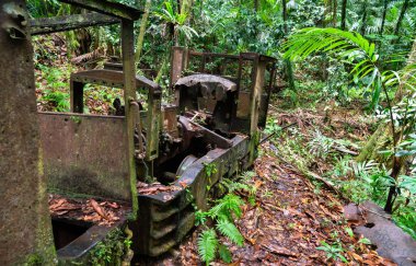 Paslanmış eski bir lokomotif, Babeldaob Adası 'ndaki Palau' da yoğun tropikal ormanlarla terk edilmiş ve kısmen geri kazanılmış, nemli ve ıssız bir orman zemininde eğreltiotu, palmiye ağaçları ve nemli bir orman zeminiyle çevrili.
