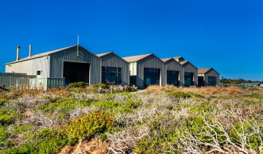 Santa Cruz, California 'da Pasifik Okyanusu yakınlarındaki sahil deniz laboratuarları açık mavi gökyüzünün altında kıyı bitkileriyle çevrili.