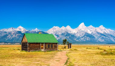 Grand Teton Ulusal Parkı 'ndaki ünlü Mormon Row Tarihi Bölgesi boyunca yeşil çatılı tarihi bir ahşap kulübe duruyor. Sahne, bu ikonik Wyoming manzarasının kırsal cazibesini, geniş ovaları ve sınır mirasını yakalar..