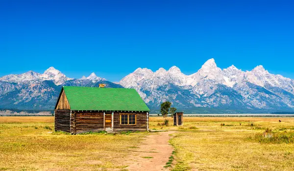 Grand Teton Ulusal Parkı 'ndaki ünlü Mormon Row Tarihi Bölgesi boyunca yeşil çatılı tarihi bir ahşap kulübe duruyor. Sahne, bu ikonik Wyoming manzarasının kırsal cazibesini, geniş ovaları ve sınır mirasını yakalar..