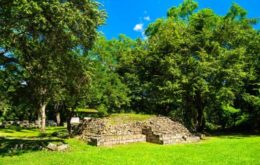 Honduras 'taki Copan yakınlarındaki las Sepulturas kompleksinde, yoğun ağaçlar ve çimenli arazilerle çevrili küçük, kısmen kazılmış bir Maya platformu. Site, şehrin ana töreninin ötesinde elit yaşamın yerleşik ve törensel yönlerini gösteriyor.