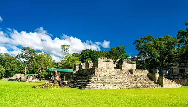 Mezoamerikan kültür bölgesindeki Copan arkeoloji sahasında Maya sahasında. Honduras 'taki UNESCO dünya mirası