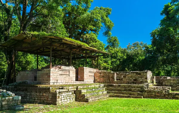 Honduras 'taki Copan bölgesi yakınlarındaki Las Sepulturas konutunda kısmen restore edilmiş taş yapı. Bu bölge Maya ailelerine ev sahipliği yapıyordu ve avlularda, sunaklarda ve mezarlarda yerel ve törensel içgörü sunuyordu.