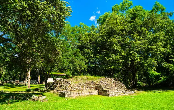 Honduras 'taki Copan yakınlarındaki las Sepulturas kompleksinde, yoğun ağaçlar ve çimenli arazilerle çevrili küçük, kısmen kazılmış bir Maya platformu. Site, şehrin ana töreninin ötesinde elit yaşamın yerleşik ve törensel yönlerini gösteriyor.