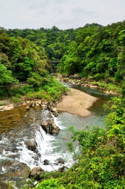 Keelung Nehri, Tayvan, Shifen 'in yemyeşil arazisinde süzülerek kayaların ve küçük şelalelerin etrafını oyuyor. Yoğun subtropikal ormanlarla çevrili nehir, manzaralı Pingxi Bölgesi içinde huzurlu bir doğal geri çekilme sunuyor.
