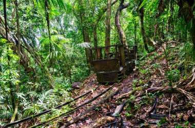 Paslanmış eski bir lokomotif, Babeldaob Adası 'ndaki Palau' da yoğun tropikal ormanlarla terk edilmiş ve kısmen geri kazanılmış, nemli ve ıssız bir orman zemininde eğreltiotu, palmiye ağaçları ve nemli bir orman zeminiyle çevrili.