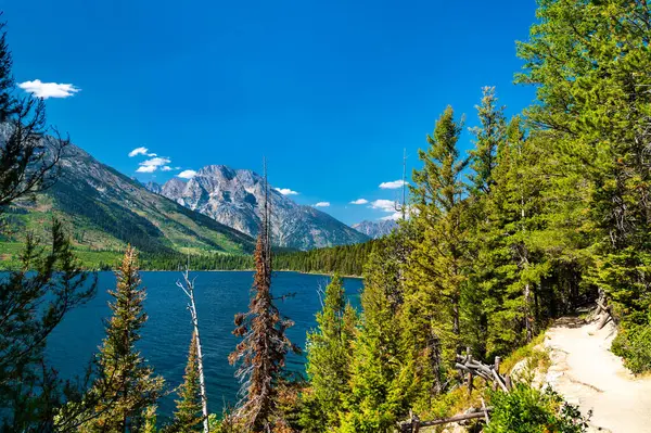 Jenny Lake yolu Grand Teton Ulusal Parkı, Wyoming, ABD