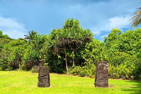 Okyanusya 'daki Mikronezya, Palau' daki Babeldaop Adası 'ndaki Badrulchau Taşı Monolit heykelleri.