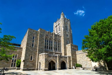 Princeton, New Jersey, ABD 'deki Gotik tarzı Princeton Üniversitesi Kütüphanesi' nde taş duvarcılık, sivri kemerler ve yemyeşil alanlarla çevrili merkezi bir kule bulunuyor..