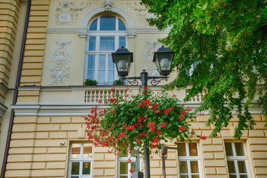 Sırbistan 'ın Kikinda kentinde dekoratif sokak lambası direği