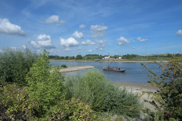 Historique Eel Fishing Boat Appelé Aalschokker Rhin River Monheim Rhein — Photo