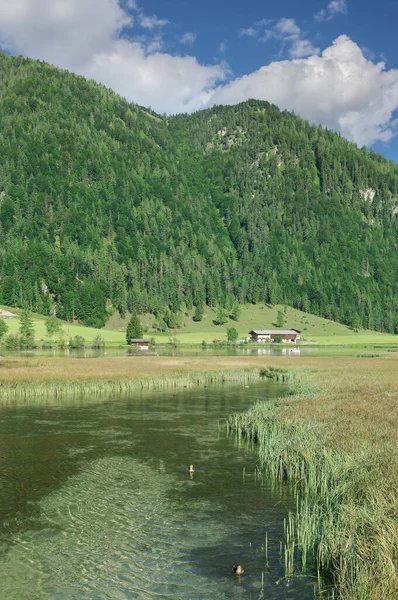 Krajobraz Sankt Ulrich Pillersee Nad Jeziorem Pillersee Tyrol Austria — Zdjęcie stockowe