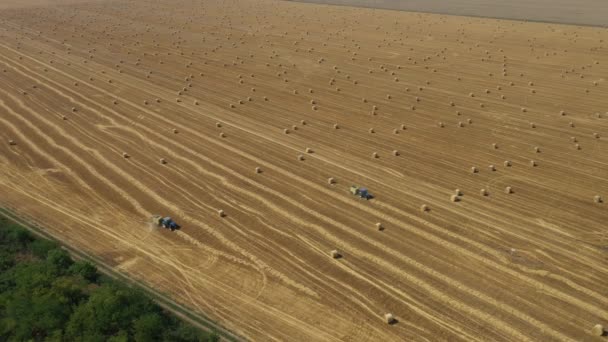 High View Two Tractors Pulling Baler Machines Rolls Straw Spits — Stock Video