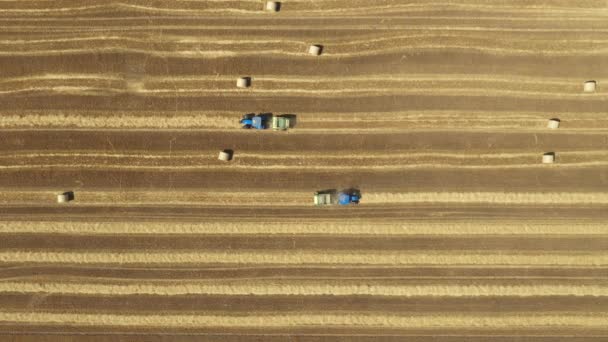 Top View Two Tractors Pulling Baler Machines Rolls Straw Spits — Stock Video