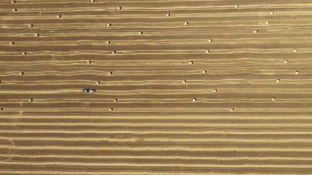 トラクターの上のビューでは わらをロールアップし 農業分野の上に詰められた丸いベールを吐き出すマシン ラウンドバリアを引っ張っとして — ストック動画