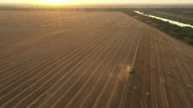 Traktörü mercimeği fırına verirken yukarıdan bakıldığında, kamışı yuvarlayan ve tarımsal alanın üzerine doldurulmuş yuvarlak bir balya tüküren makine....
