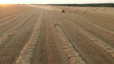 Yukarıda, doli hasattan sonra saman balyalarında ilerler, traktör balyaları yuvarlar, kamışı yuvarlar ve onları tarla ve günbatımında paketlenmiş bir şekilde dışarı tükürür..