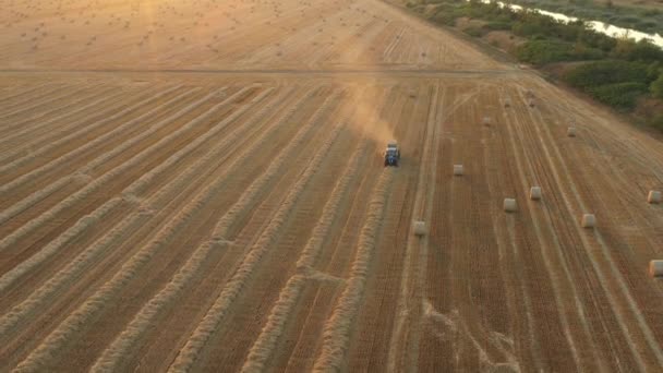 収穫後の藁の上にはトラクターが丸いバリアを引いています藁を巻き上げて畑の上に詰め物をした機械です — ストック動画