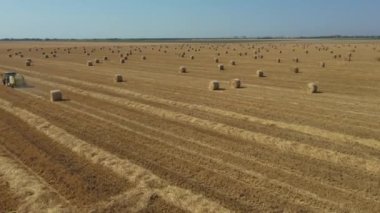 Manzaranın üstündeki bebek, traktörün üzerinde, merdaneyi çekerken, kamışı yuvarlayan ve tarımsal alanın üzerine doldurulmuş yuvarlak bir balya tüküren makine gibi ilerler..