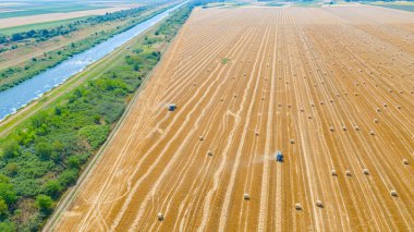 Traktörün yukarısında mercimeği fırına veren makine, kamışı yuvarlıyor ve tarımsal alanın üzerine yuvarlanmış bir balya püskürtüyor..
