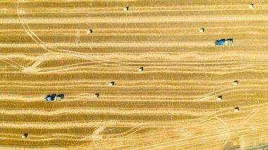 Üst taraftaki iki traktörün mercimeği fırına verirken makineler kamışı yuvarlayarak tarımsal alanın üzerine yuvarlanmış yuvarlak bir balya püskürtüyor..